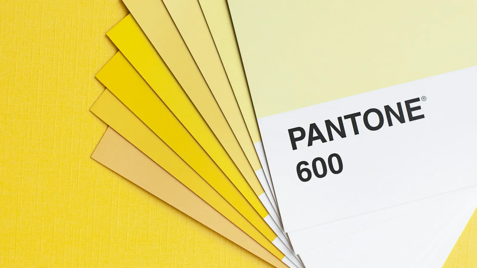 Colour Contrast & WCAG: What You Need to Know